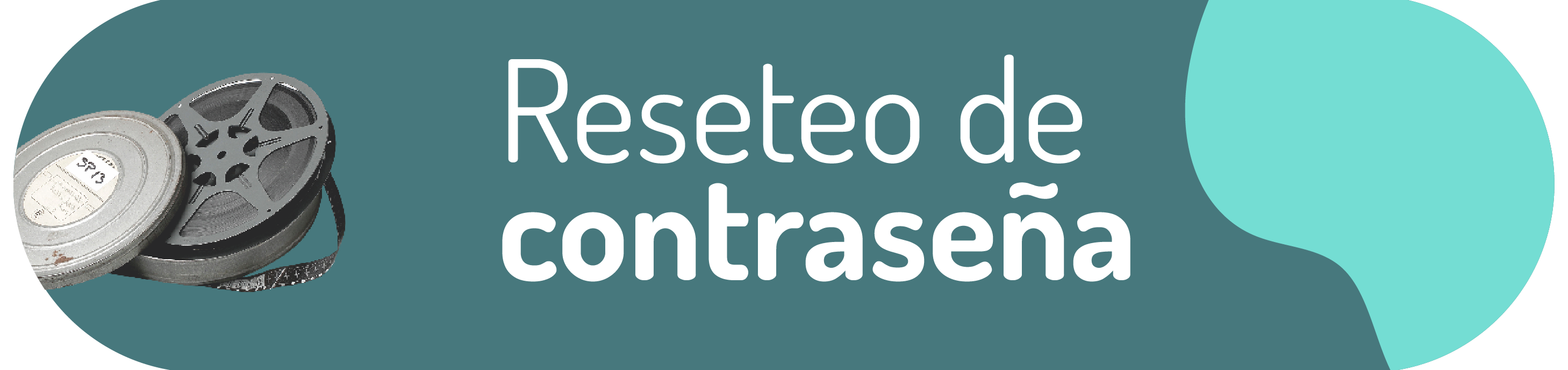 reseteo contraseña